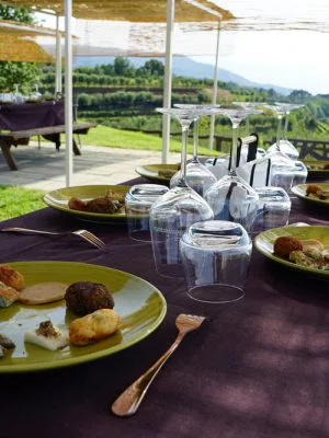 Degustazione in Cantina