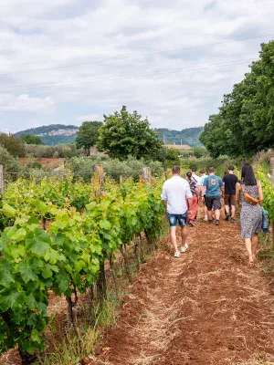 Degustazione in Cantina