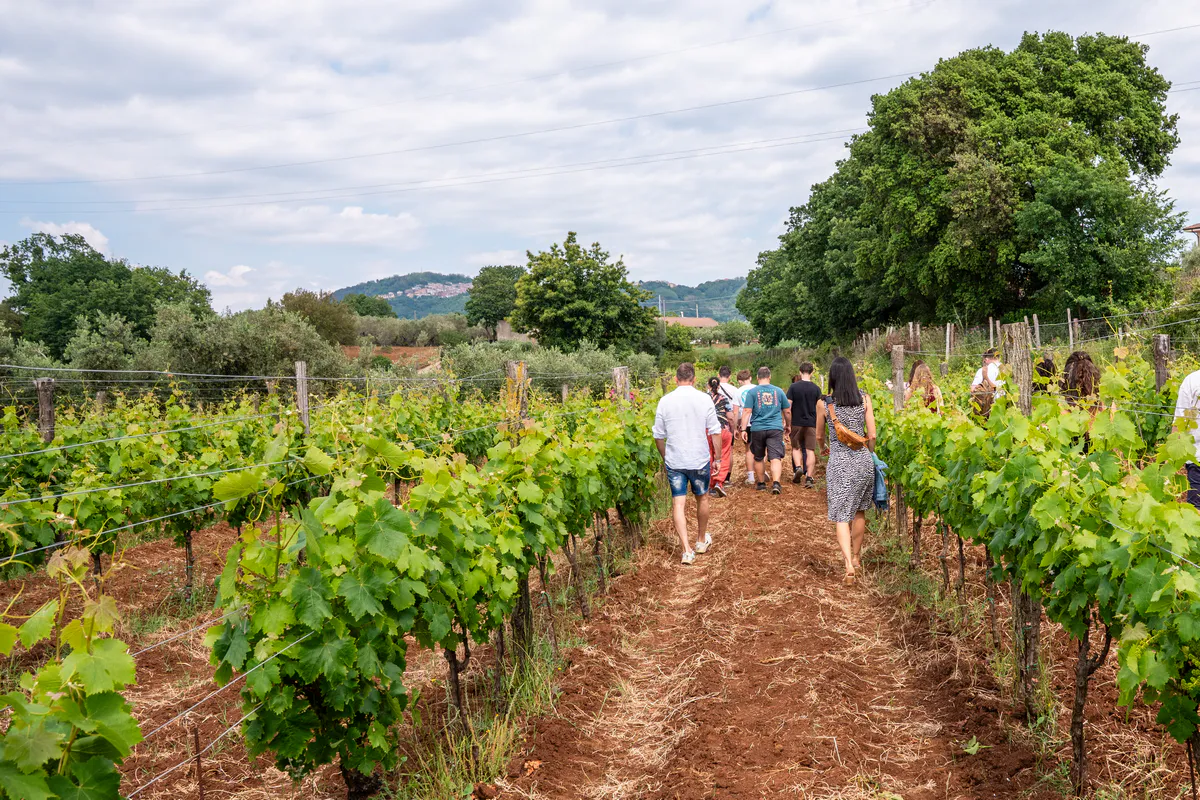 Degustazione in Cantina
