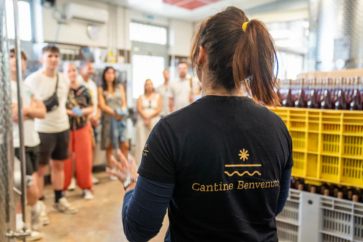 Degustazione in Cantina - immagine 5