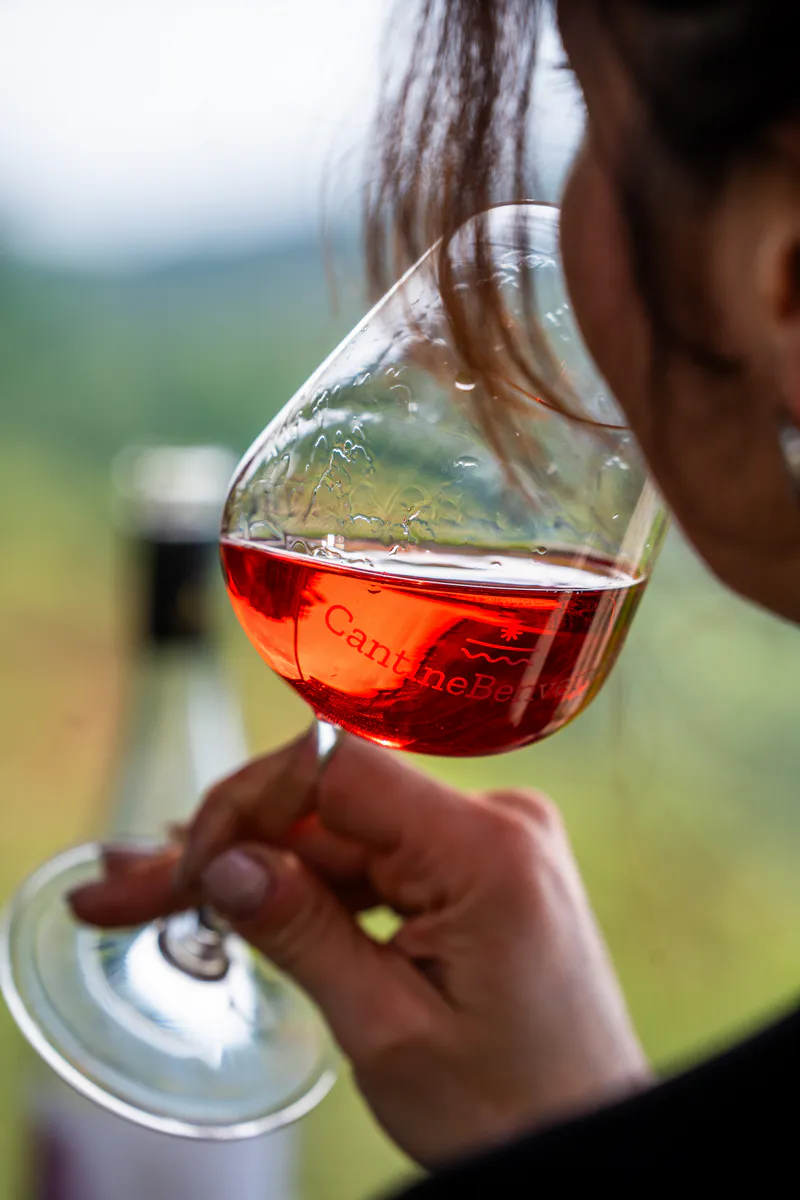 Degustazione in Cantina - immagine 7